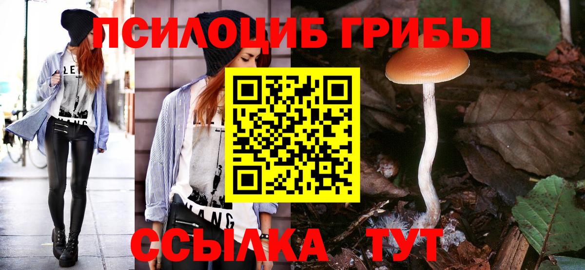 Псилоцибиновые грибы Magic Shrooms Хасавюрт